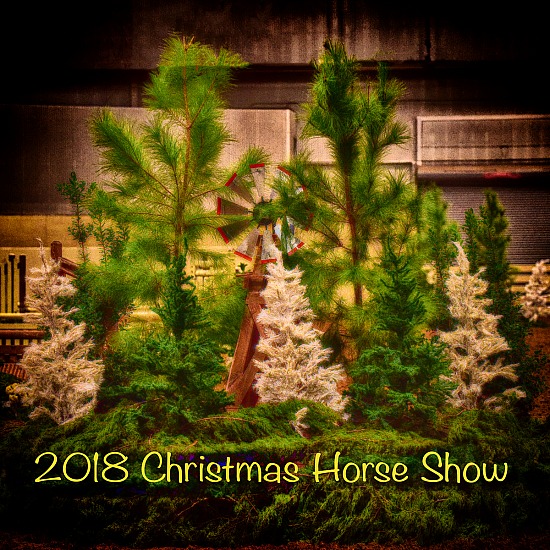 2018 Christmas Horse Show