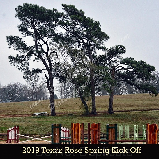 2019 Texas Rose Spring Kick Off 1