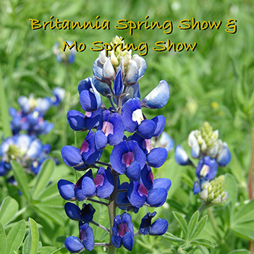Britannia Spring Show & Mo Spring Show