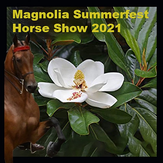 Magnolia Summerfest Horse Show