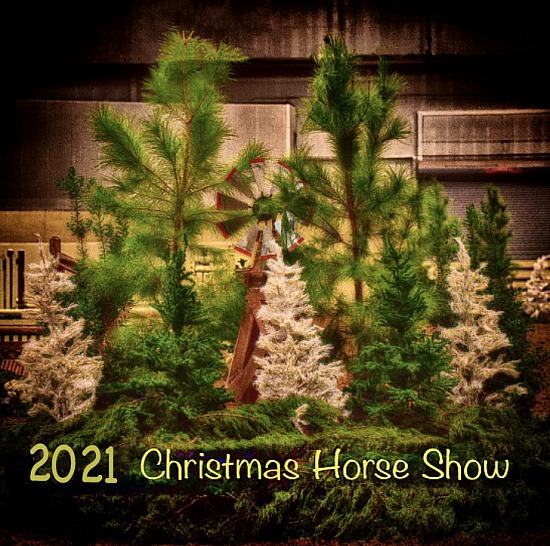 2021 Christmas Horse Show