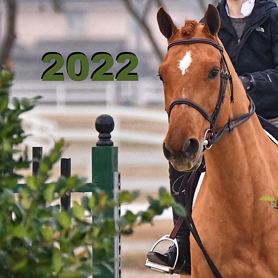 2022 HORSE SHOWS