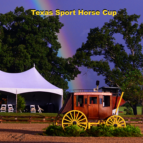 Texas Rose Sport Horse Cup