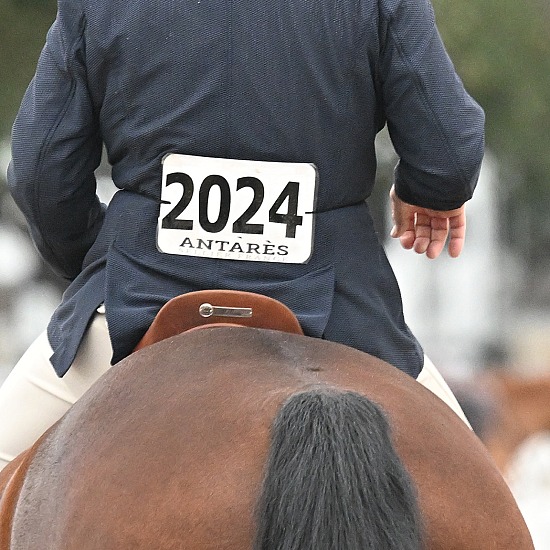 2024 Horse Shows