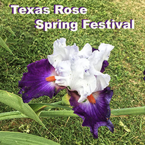 Texas Rose Spring Festival